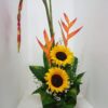 Aves y Girasoles