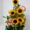 Girasol y Peluche