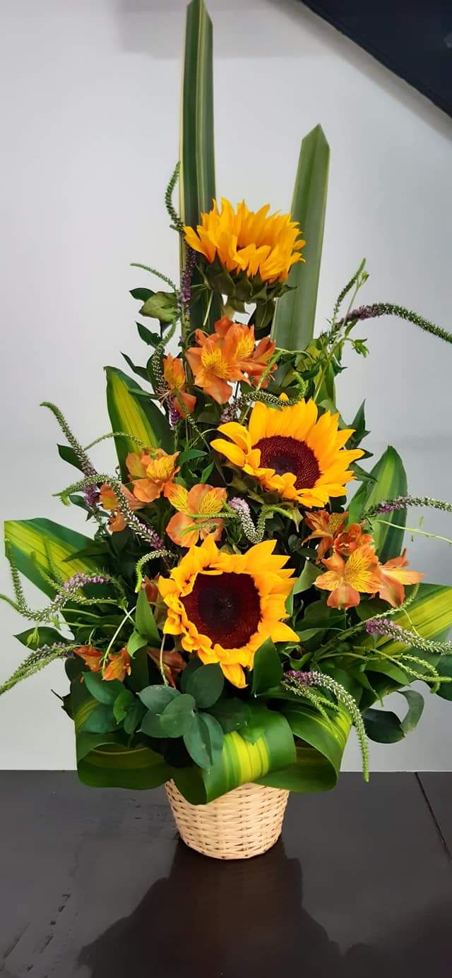 Atardecer de Girasoles