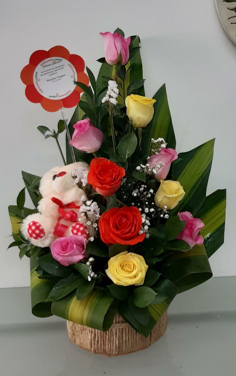Rosas y Peluche
